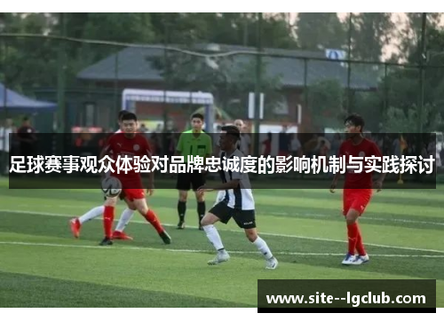 足球赛事观众体验对品牌忠诚度的影响机制与实践探讨 足球赛事观众体验对品牌忠诚度的影响机制与实践探讨