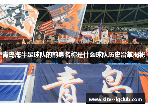 青岛海牛足球队的前身名称是什么球队历史沿革揭秘