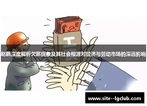 赵鹏深度解析欠薪现象及其社会根源对经济与劳动市场的深远影响