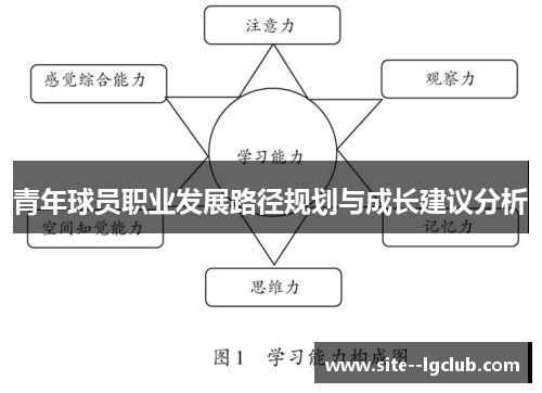 青年球员职业发展路径规划与成长建议分析